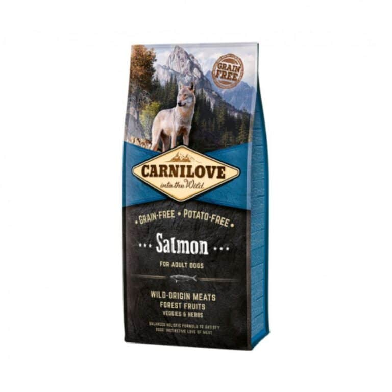 Carni Love Salmon for Adult begrūdis sausas maistas šunims su lašiša