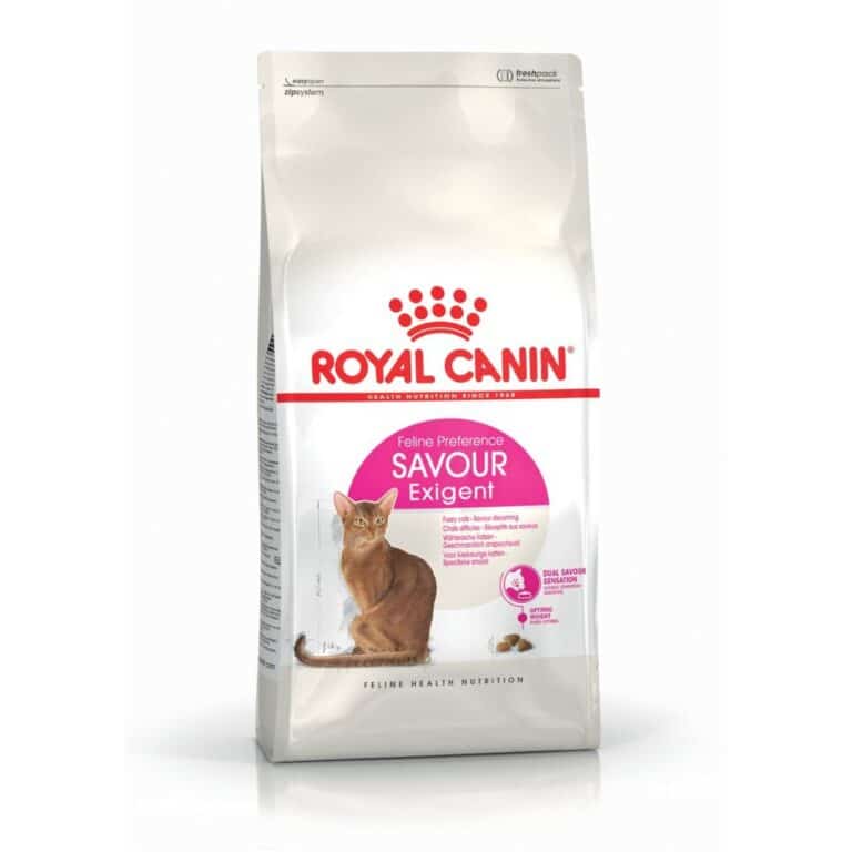 Royal Canin Exigent Savour sausas maistas išrankioms katėms