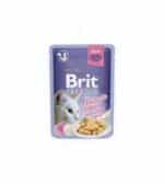 Brit Premium Delicate Chicken in Jelly konservai katėms vištienos filė drebučiuose