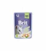 Brit Premium Delicate Trout in Jelly konservai katėms upėtakio filė drebučiuose
