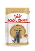 Royal Canin British shorthair konservai britų trumpapliaukiams veislės katėms