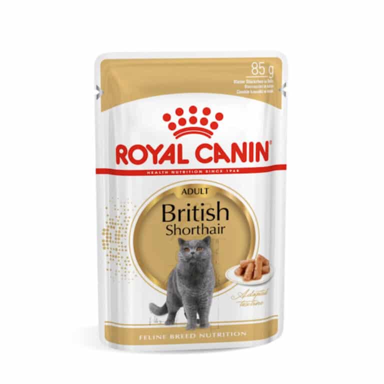 royal canin british shorthair konservai britu trumpapliaukems veisles katems 85gr