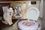 Originali 3 žingsnių kačių tualeto mokymo sistema Litter Kwitter