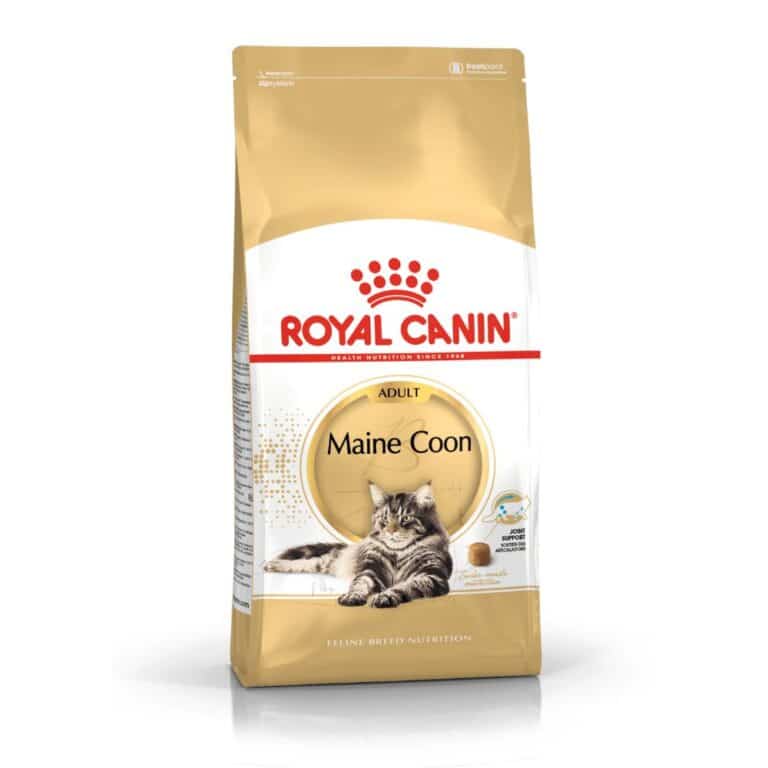 Kačių maistas Royal Canin Maine Coon Adult sausas maistas Meino meškėnų veislės katėms