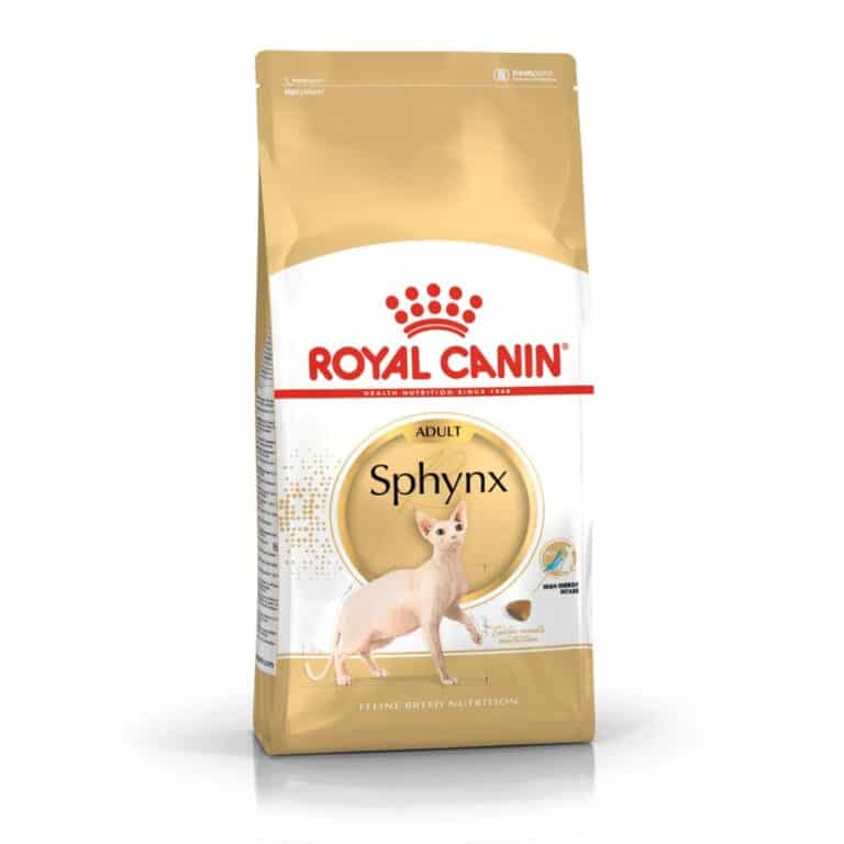 Royal Canin Sphynx sausas maistas sfinkisų veislės katėms