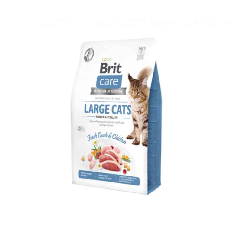 Brit Care Cat Large cats Power&Vitality begrūdis sausas maistas didelių veislių katėms