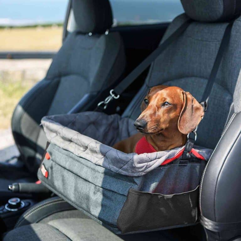 KONG Secure Booster Seat - kelioninė šunų kėdė