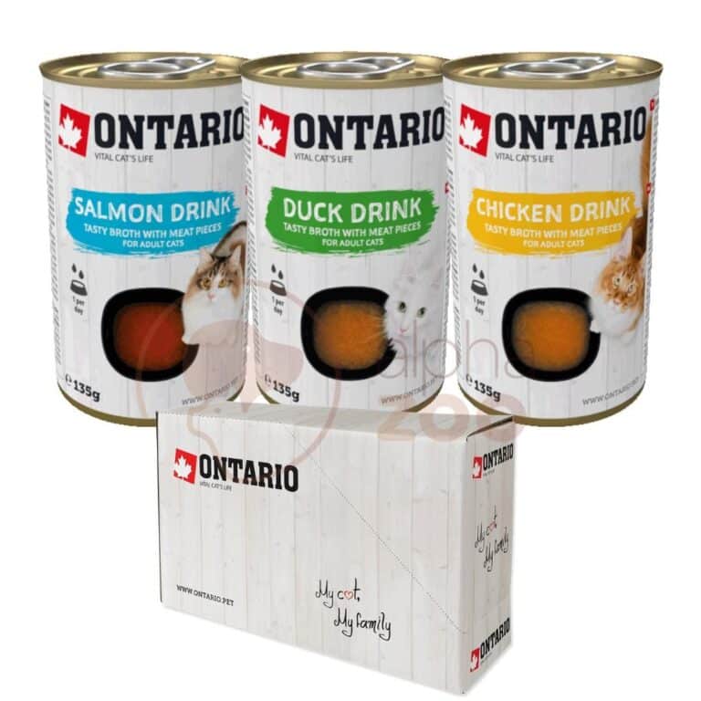 Ontario sriuba katems