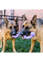 KONG Ogee Stick patvarus žaislas šunims įv. dydžių