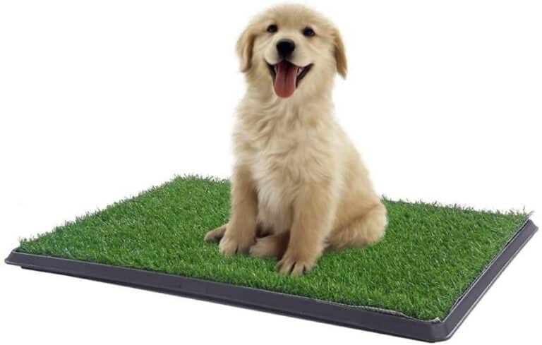 Žolės patiesalo dėžė šuniukams ir suaugusiems šunims XL 76x50x3 cm