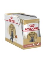 Royal Canin British Shorthair konservai britų trumpaplaukėms veislės katėms, 85g x12 vnt.