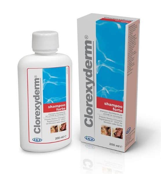 Clorexyderm Shampoo Forte 2% 200 ml - antiseptinis, valantis šampūnas naudojamas esant paviršinei ir giliai piodermai.