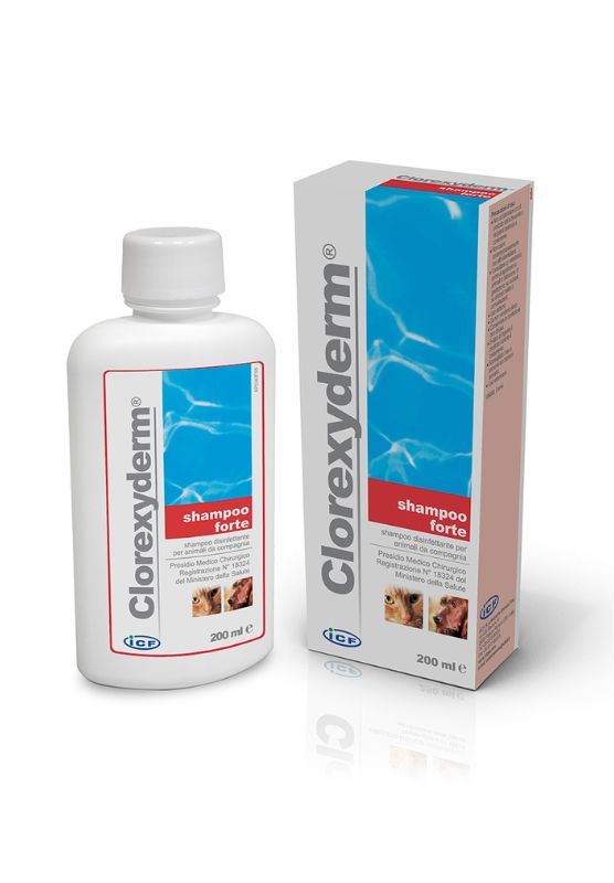 Clorexyderm Shampoo Forte 2% 200 ml - antiseptinis, valantis šampūnas naudojamas esant paviršinei ir giliai piodermai.