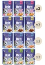 Brit Premium in jelly konservų katėms rinkinys, 1020 g (vištiena, lašiša, jautiena, upėtakis)
