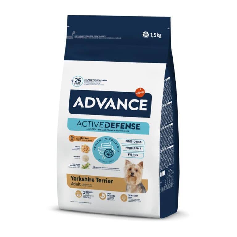 Advance Yorkshire Adult