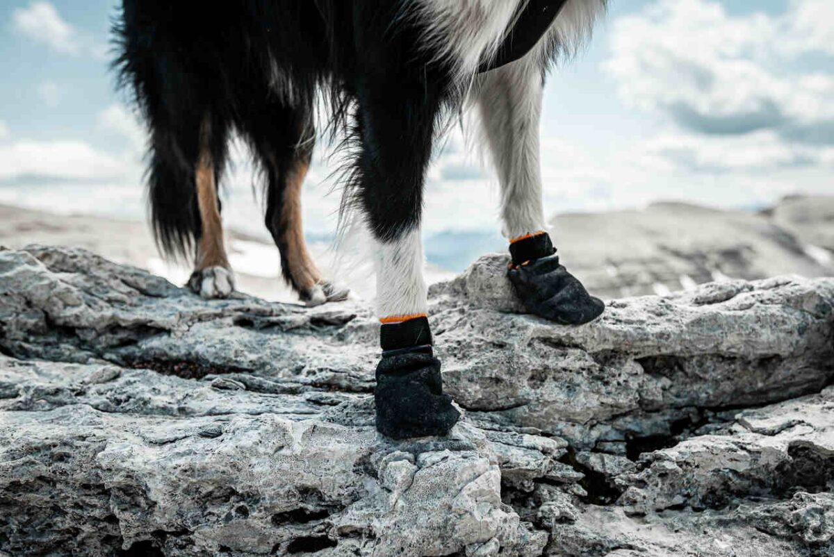 non-stop protector bootie - patvarūs šunų apsauginiai batai, 4 vnt.
