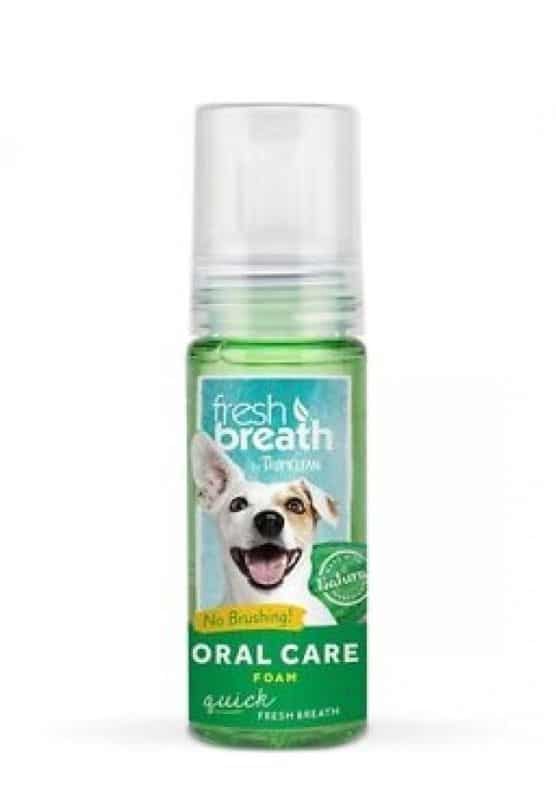 TROPICLEAN FRESH BREATH ORAL CARE FOAM - putos šunų dantų higienai, 133ml