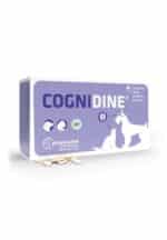 Cognidine N60 - pašaro papildas aprūpina maisto medžiagomis, kurios gali padėti užtikrinti sveiką nervų sistemą.