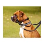 Company Of Animals Halti Optifit Headcollar dresūros antsnukis šunims (įv. dydžiai)