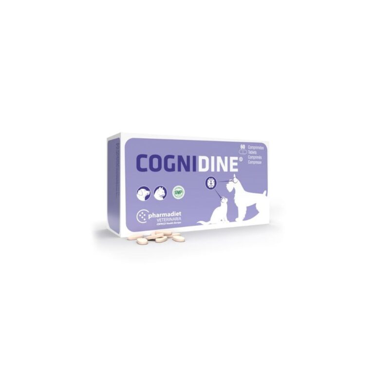 cognidine n60 pasaro papildas aprupina maisto medziagomis kurios gali padeti uztikrinti sveika nervu sistema