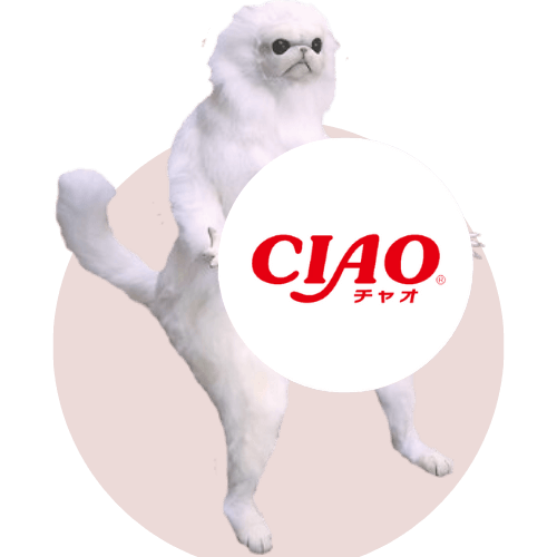 CIAO Konservai Katėms