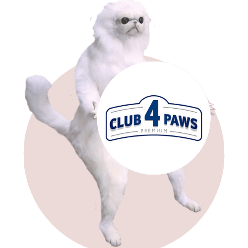 CLUB 4 PAWS Konservai Katėms