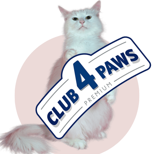 CLUB 4 PAWS Sausas Maistas Katėms