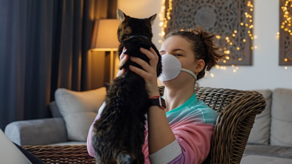 kaip pasireiskia alergija katems 2