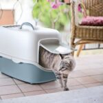 Cathy Filter - uždaras tualetas katėms su anglies filtru (56x40x40cm)