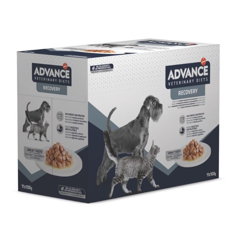 Advance Wet Recovery Dog&Cat konservai šunims ir katėms 100 g x 11 vnt.