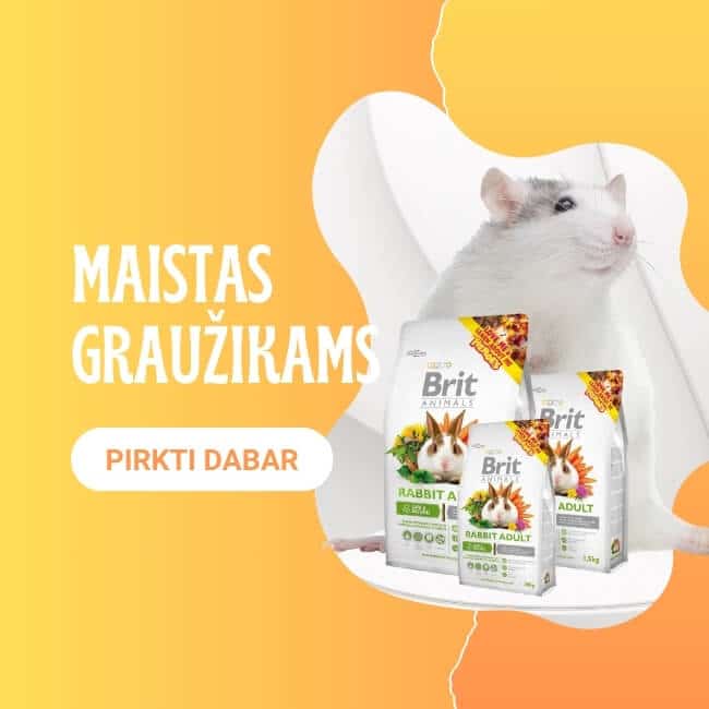Maistas grauzikams prekes banner