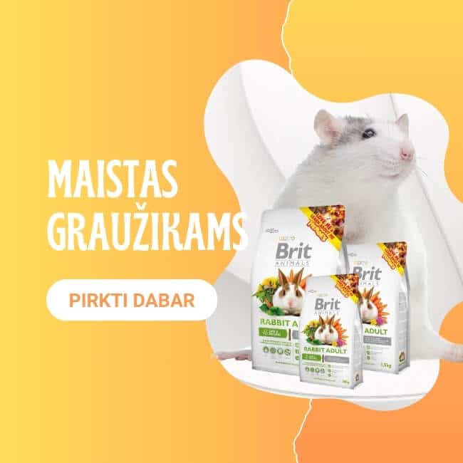 maistas grauzikams prekes banner