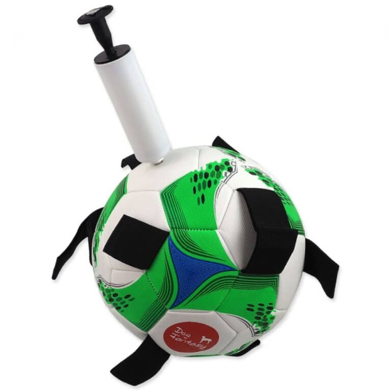 Dog Fantasy football ball