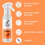 DOGSLIFE raminantį poveikį turintis purškalas šunims su levandomis, 250 ml