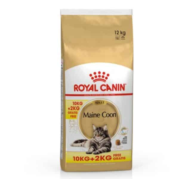 Kačių Maistas Royal Canin Maine Coon Adult Sausas Maistas