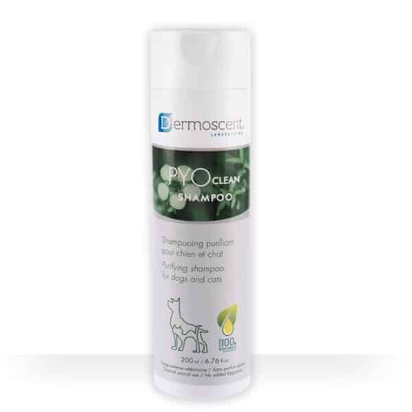 Dermoscent PYOclean Shampoo valomasis šampūnas šunims ir katėms 200ml