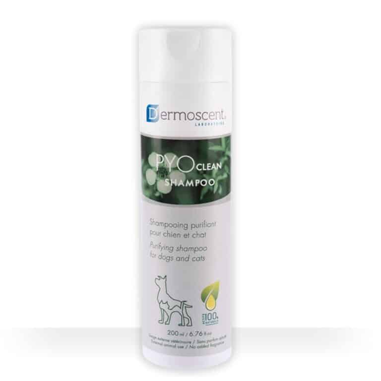 Dermoscent PYOclean Shampoo valomasis šampūnas šunims ir katėms 200ml