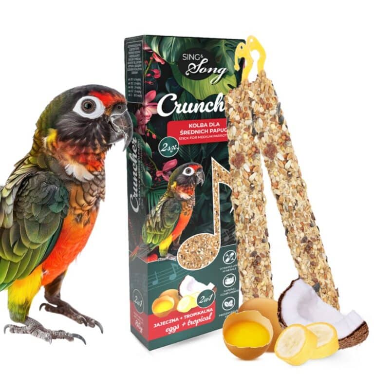 SING & SONG traškutis vidutinio dydžio papūgoms 85g 2in1 kiaušinis + tropiniai vaisiai
