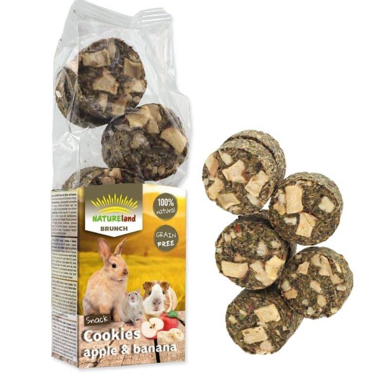 Nature Land BRUNCH Grain-free Cookies Apple & Banana 120g skanėstai graužikams