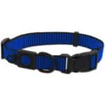 Active Dog Collar Premium XS 1cm x 21-30cm plonas antkaklis šunims ir katėms
