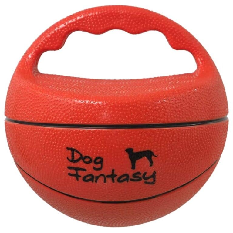Dog Fantasy garsinis kamuolys su rankena – 15 cm